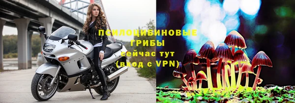 ECSTASY Алзамай